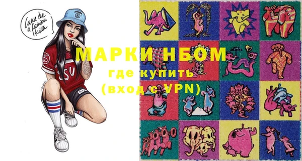 хмурый Алексин