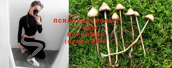 хмурый Алексин