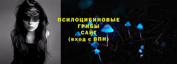 прущие крисы Алзамай