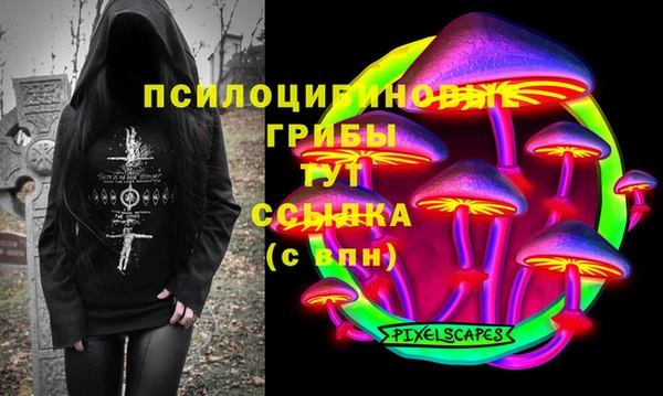 хмурый Алексин