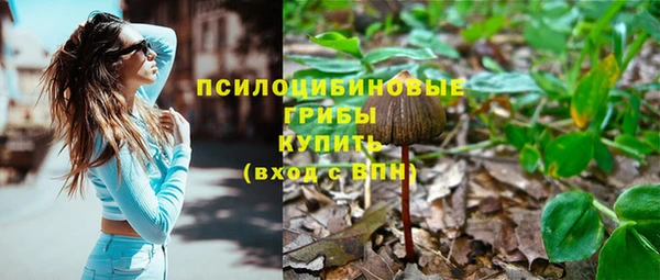 прущие крисы Алзамай